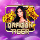 Dragon Tiger live table on jiliph login